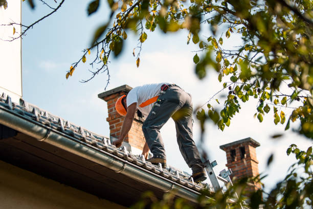 Best Gutter Installation and Roofing  in Marlow Heights, MD
