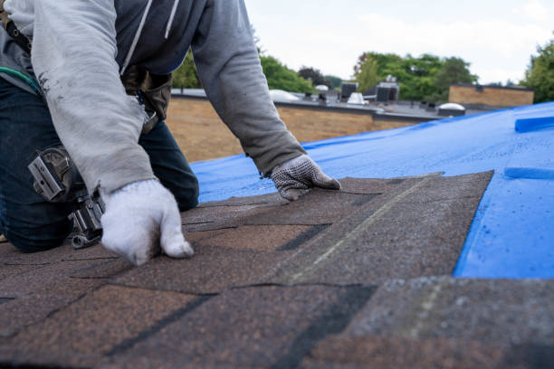 Best Roof Waterproofing Services  in Marlow Heights, MD