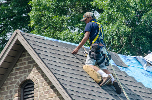 Best Roof Gutter Cleaning  in Marlow Heights, MD